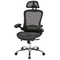 EasyChair 552 TTW