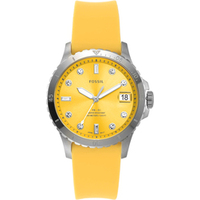 Fossil FB-01 ES5289